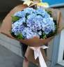 Букет гортензий  «Niko Blue»  