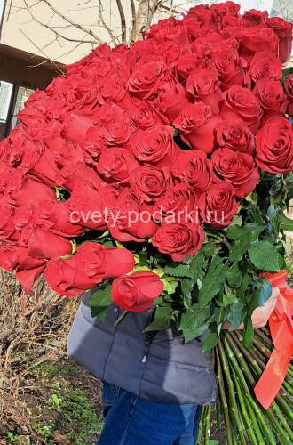 Букет из 101 метровой розы  